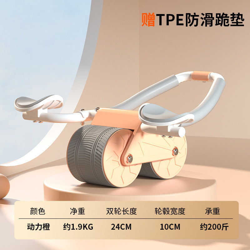 Two-in-one Multi-functional Home Flat Support Abdominal Wheel